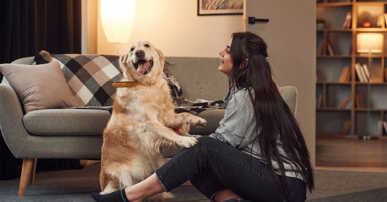 Homeowners Insurance Or Pet Insurance Hero