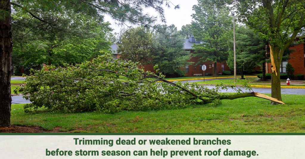 Wind and Roof Damage Image 2