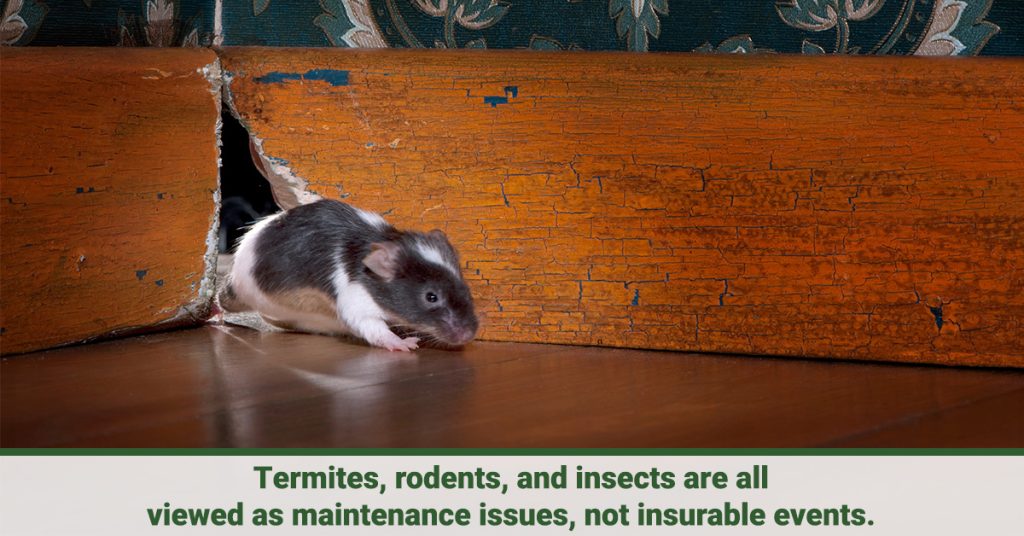 What Homeowners Insurance Does not Cover Image 2