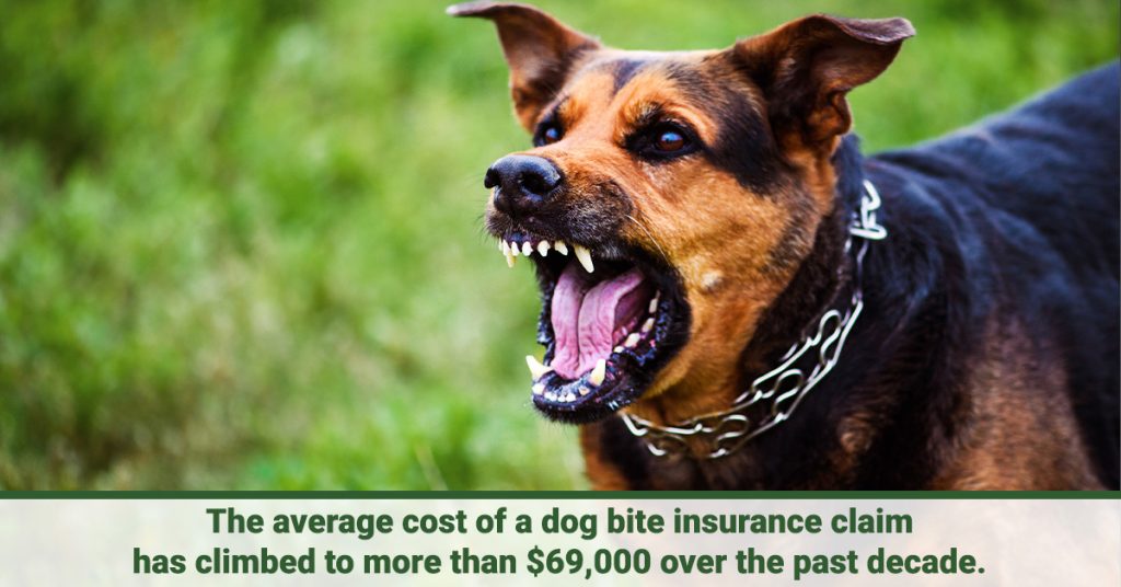 Dog Bite Liability Image 2
