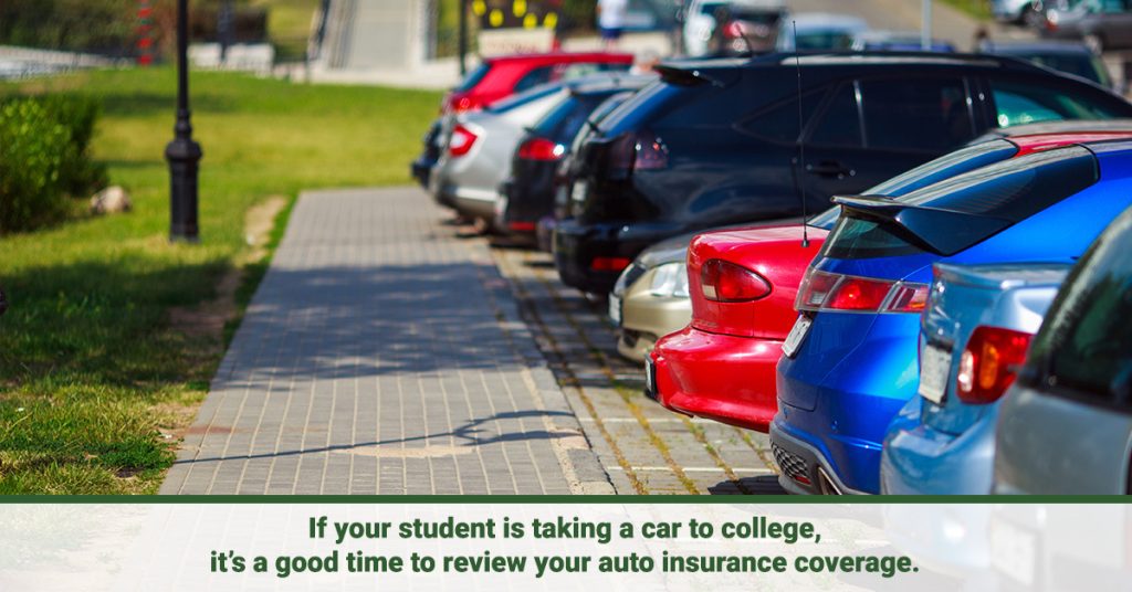 College Kids and Insurance Image 2