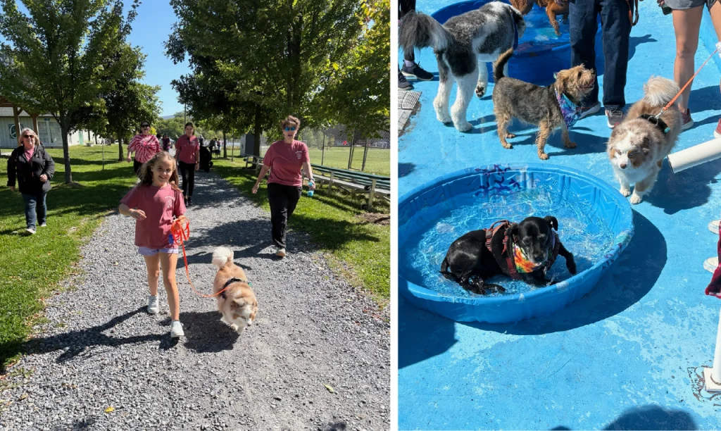 Woofstock Collage 1